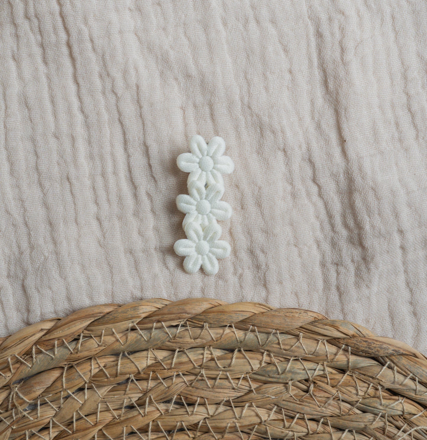 Daisy alligator div kleuren